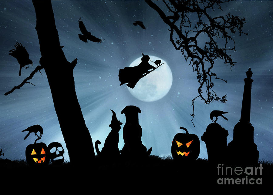 Super Cute Halloween Night With Dog and Cat Photograph by Stephanie Laird