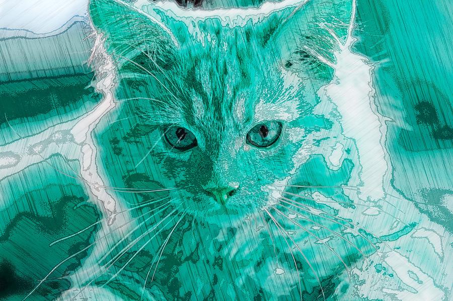 Super Duper Artistic Cat Blue Digital Art by Don Northup