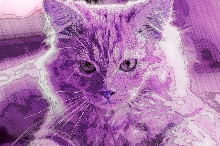 Super Duper Artistic Cat Purple Digital Art by Don Northup