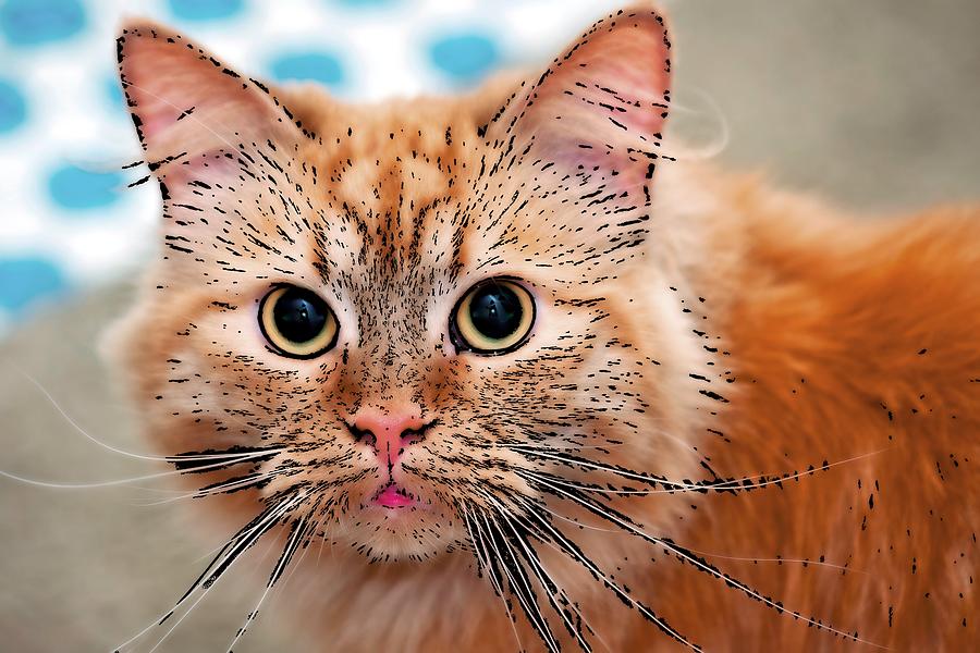 Super Duper Cat 3D Digital Art by Don Northup