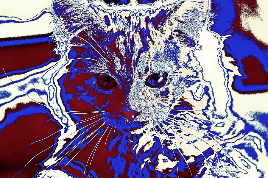 Super Duper Cat Coloring Book Digital Art by Don Northup
