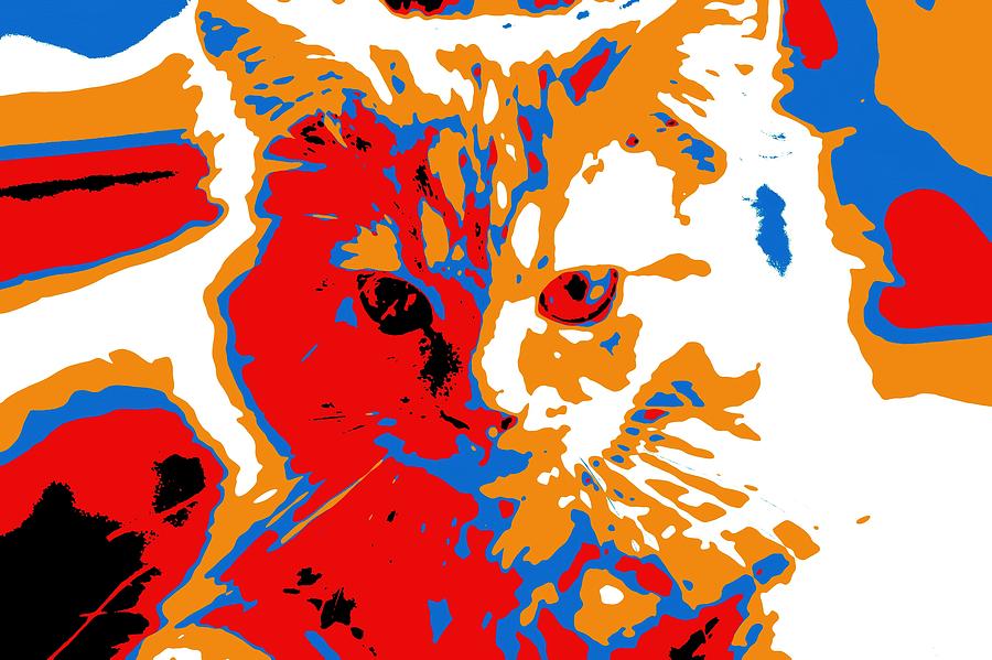 Super Duper Cat Election Poster Digital Art by Don Northup