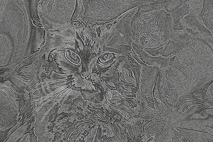 Super Duper Cat Embossed Black Digital Art by Don Northup
