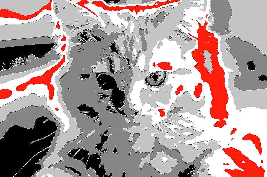 Super Duper Cat Embossed Election Poster Digital Art by Don Northup
