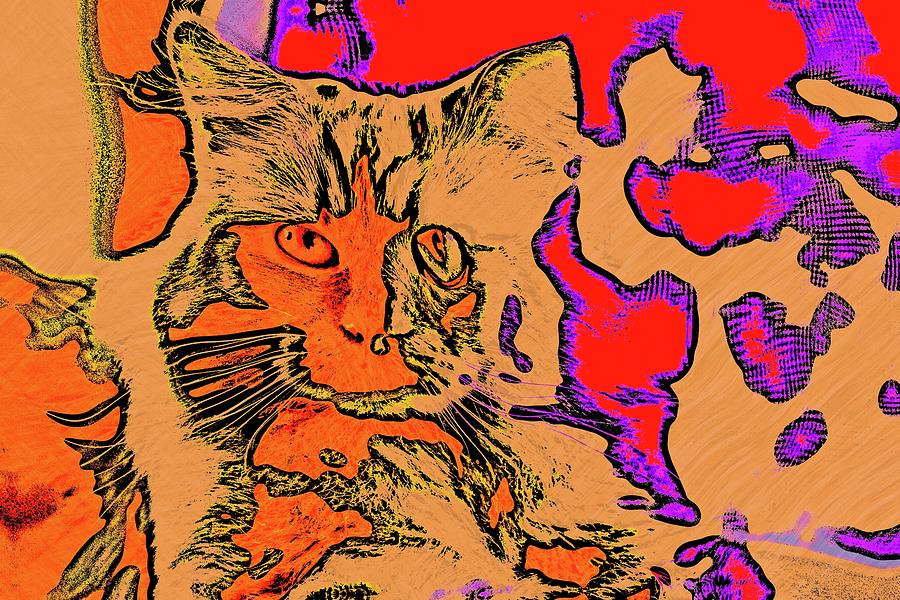 Super Duper Cat Funky Picasso Digital Art by Don Northup
