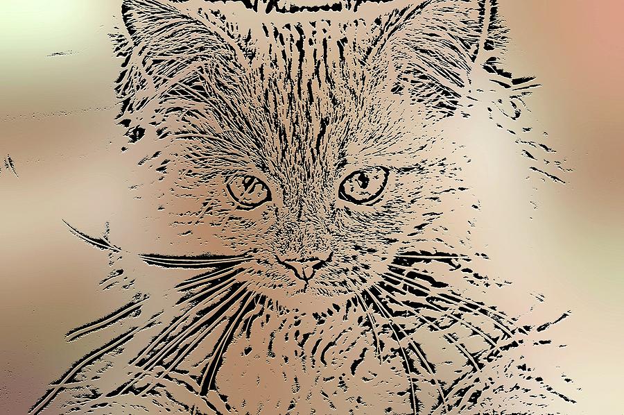 Super Duper Cat Minimal Digital Art by Don Northup