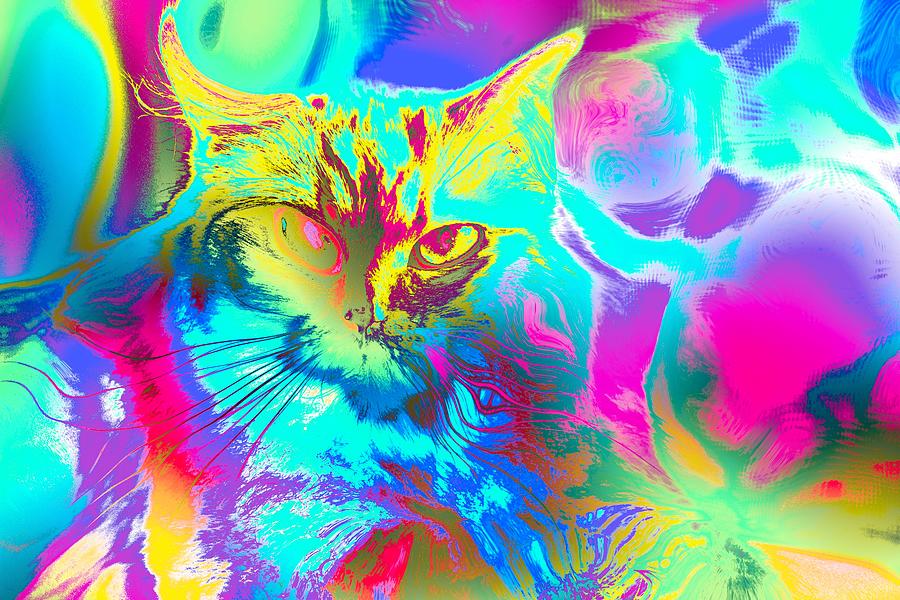 Super Duper Cat Psychedelic Digital Art by Don Northup