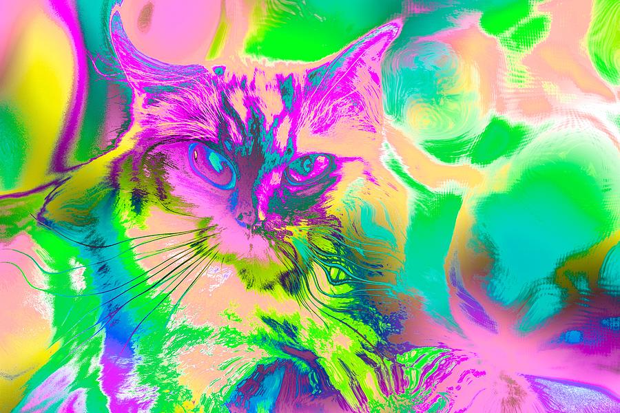 Super Duper Cat Psychedelic Pink Digital Art by Don Northup