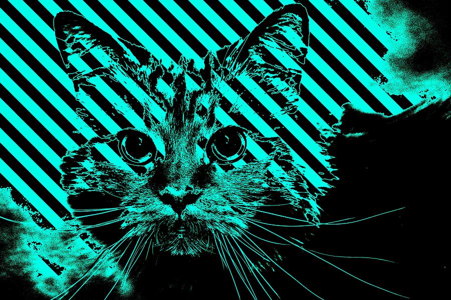 Super Duper Cat Warning Blue Digital Art by Don Northup
