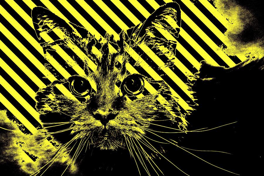 Super Duper Cat Warning Digital Art by Don Northup