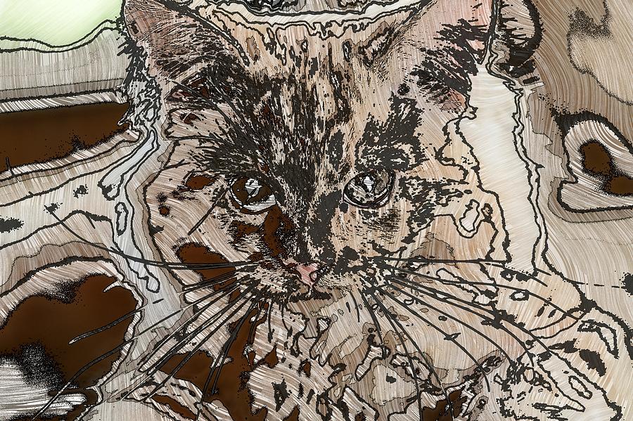 Super Duper Coll Cat Sketch 1 Digital Art by Don Northup