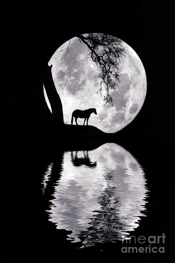 Super Moon and Horse with Reflection  Photograph by Stephanie Laird