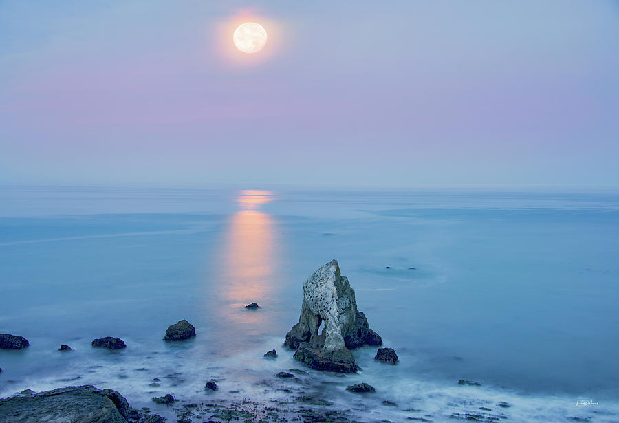Super Moon Light Photograph by Leland D Howard