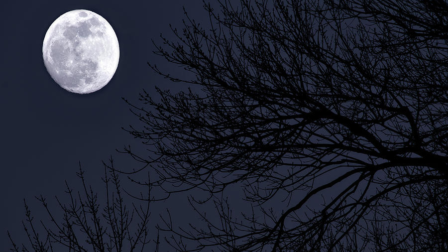 Super Moon by Stephen Riella Super Moon by Stephen Riella
