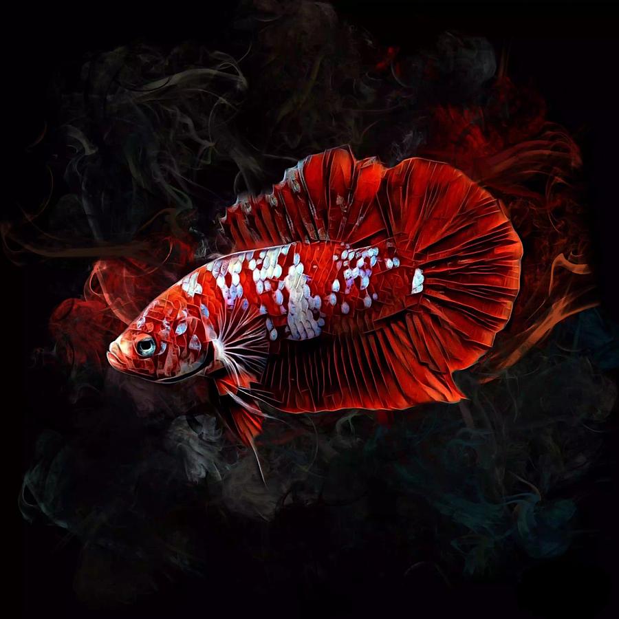 Super Red  Koi  Halfmoon Betta Fish  Digital Art by Scott 