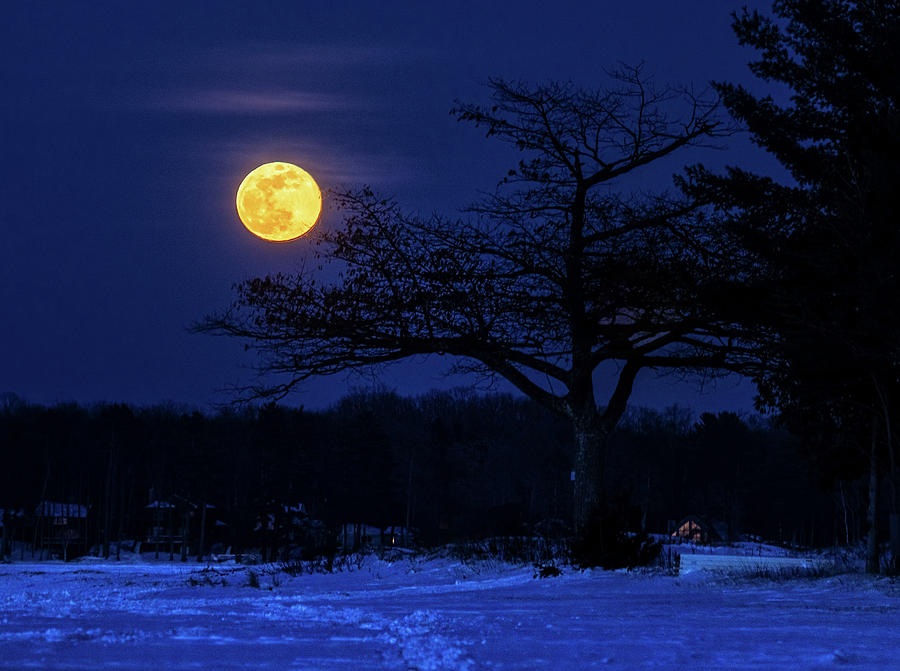 Super Snow Moon Over Detroit Point Photograph By Ron Wiltse 