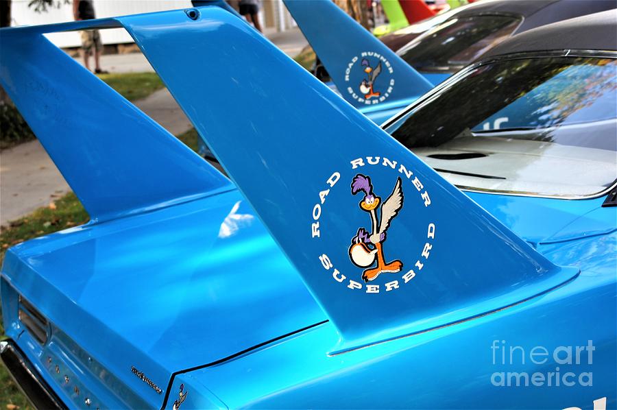Superbirds by Neil Zimmerman Superbirds by Neil Zimmerman