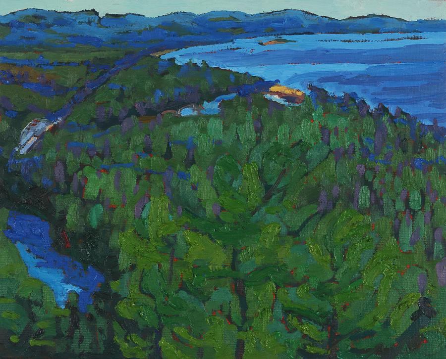 Superior Awausee Lookout Painting by Phil Chadwick