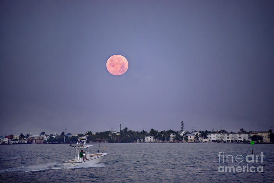 Supermoon Moonset Over Marathon, Florida Photograph
