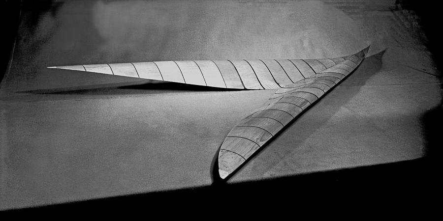 Supersonic Wing Wind Tunnel Model - Inspiration for the NASA Insignia Painting by Celestial Images