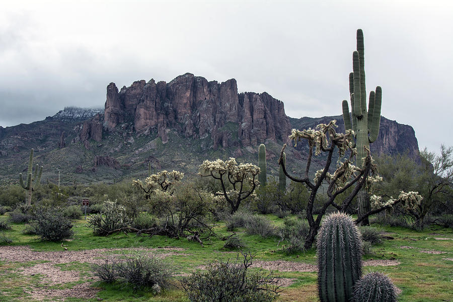 Superstition Mountain 4636-021819 Photograph by Tam Ryan