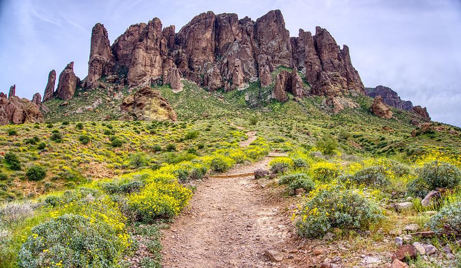 Superstition Mountain Yellow Spring Flowers  Photograph by Anthony Giammarino