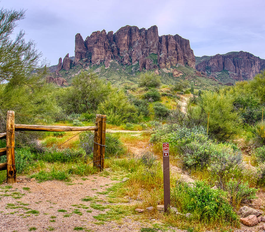 Superstition Mountains Photograph by Anthony Giammarino