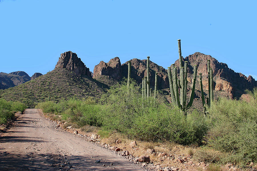 Superstition Mountains Forest Road 172 Digital Art by Tom Janca