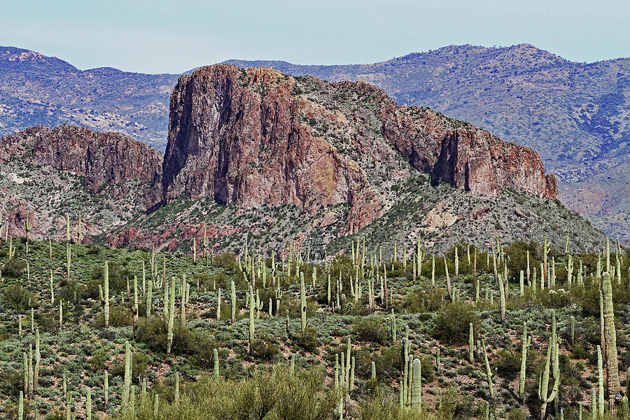 Superstition Mountains With Saguaros Digital Art by Tom Janca