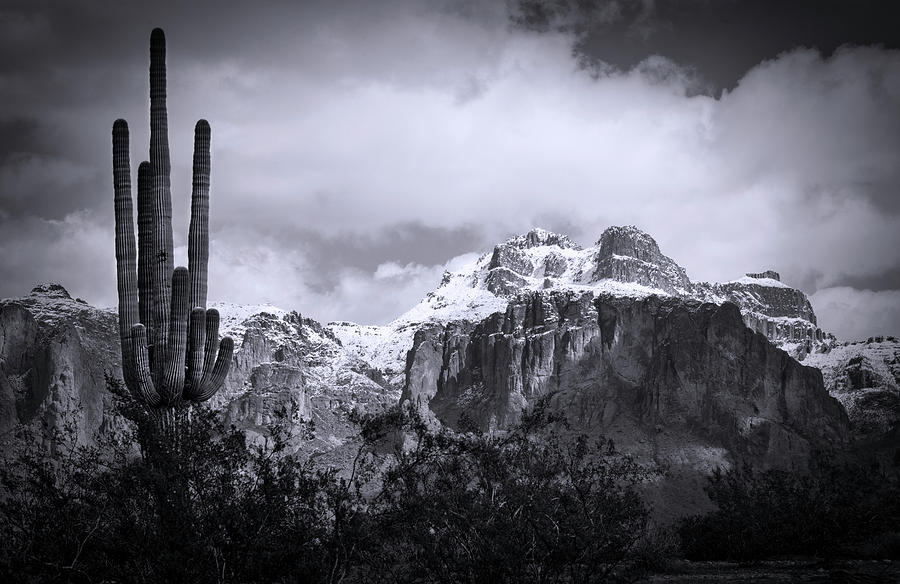 Superstition Snow Day in Black and White  Photograph by Saija Lehtonen