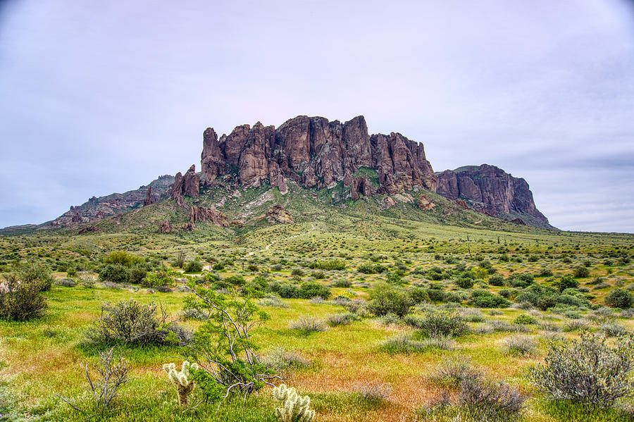 Superstitions Landscape Photograph by Anthony Giammarino