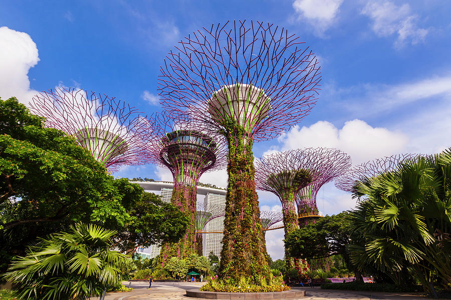 Supertree Grove And Gardens, Singapore, South East Asia Digital Art by ...