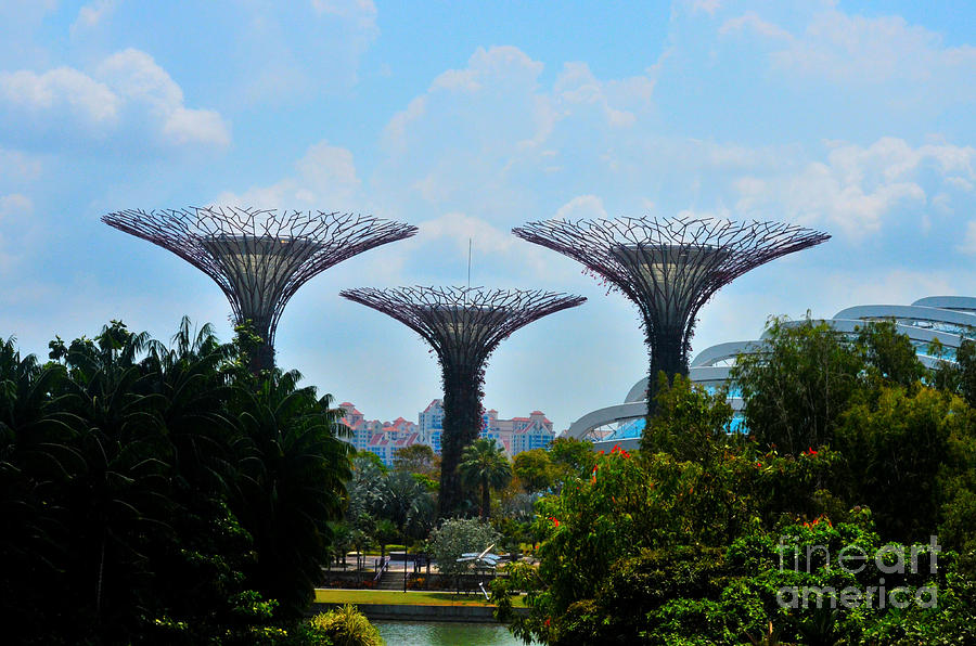 Supertrees conservatory and dragonfly lake Gardens by the Bay park Singapore Photograph by Imran Ahmed