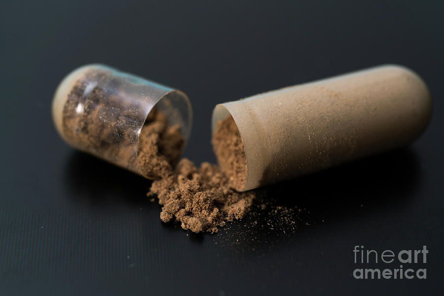 Supplement Capsule Photograph by Wladimir Bulgar/science Photo Library