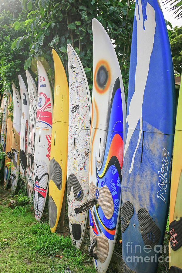 Surf Board Fence Maui Hawaii Vert Photograph by Edward Fielding