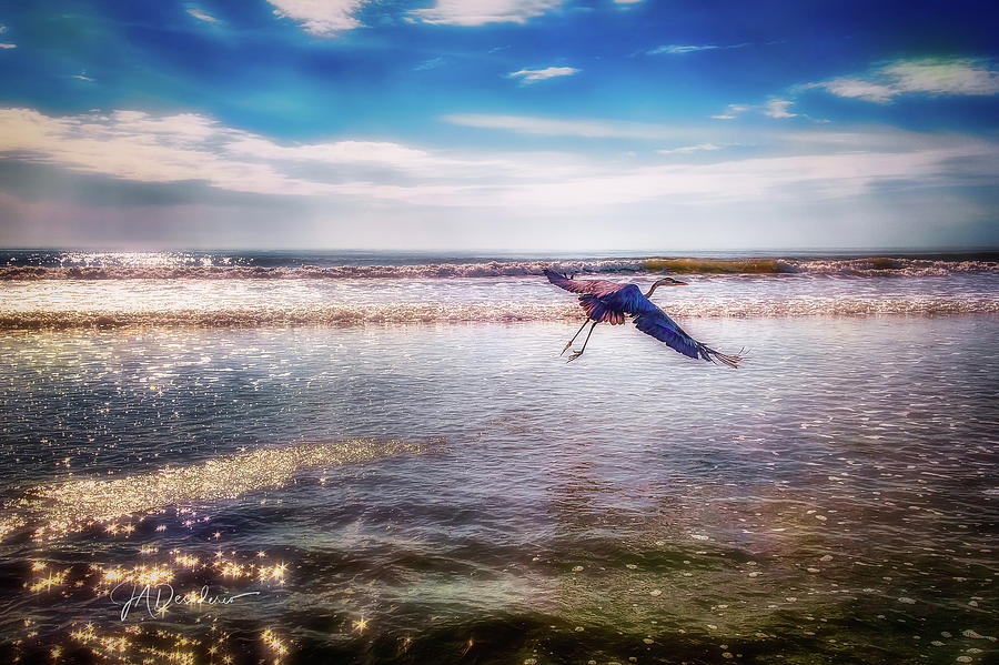 Surf Flight Photograph by Joseph Desiderio