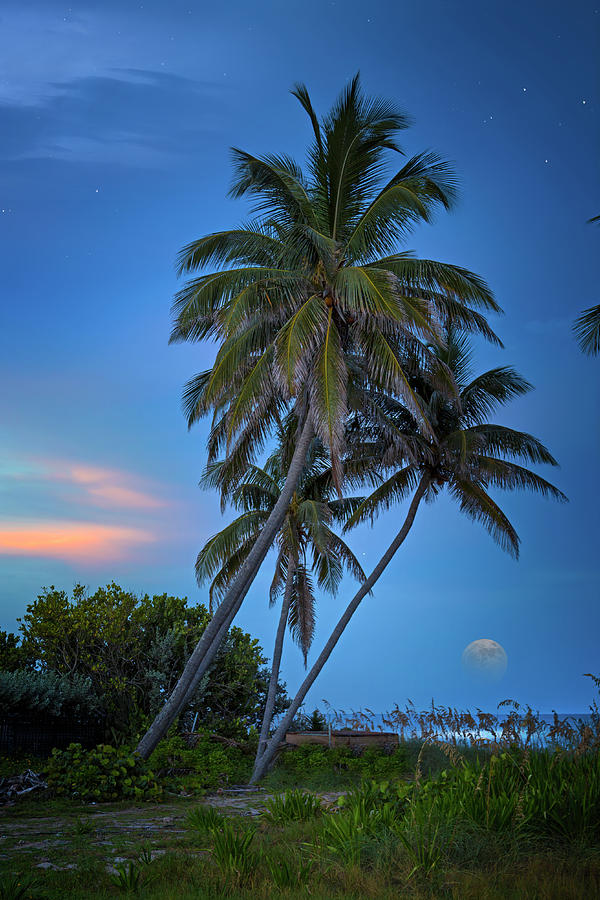 Surf Moon Photograph by Mark Andrew Thomas