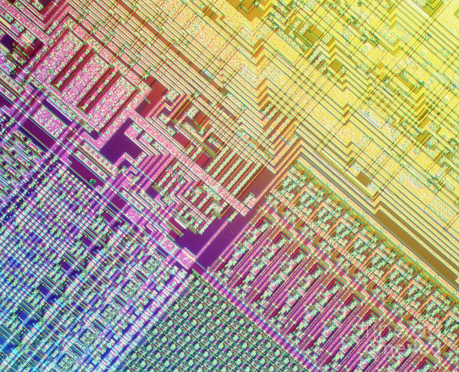 Silicon Chip Photograph - Surface Of Integrated Circuit: Light Micrograph by Astrid & Hanns-frieder Michler/science Photo Library