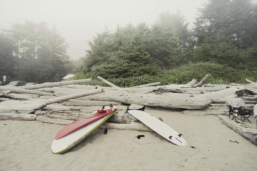 Tree Digital Art - Surfboards On Misty Beach, Tofino, Vancouver Island, Canada by Mareen Fischinger