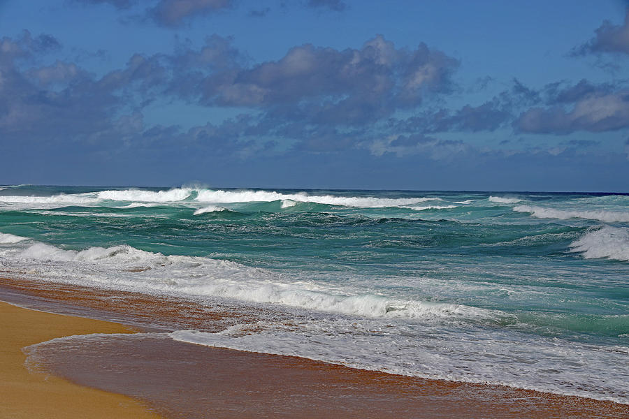 Hawaiian Waves  Photograph by Allan Levin