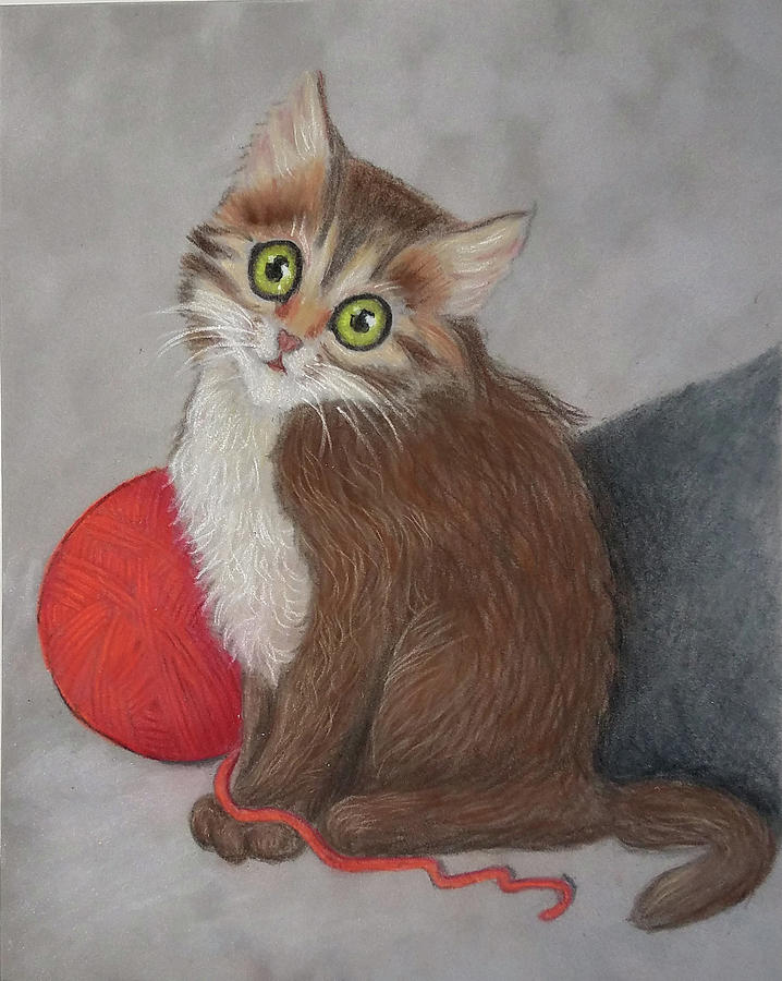 Surprised Kitty Drawing by Lorraine Foster