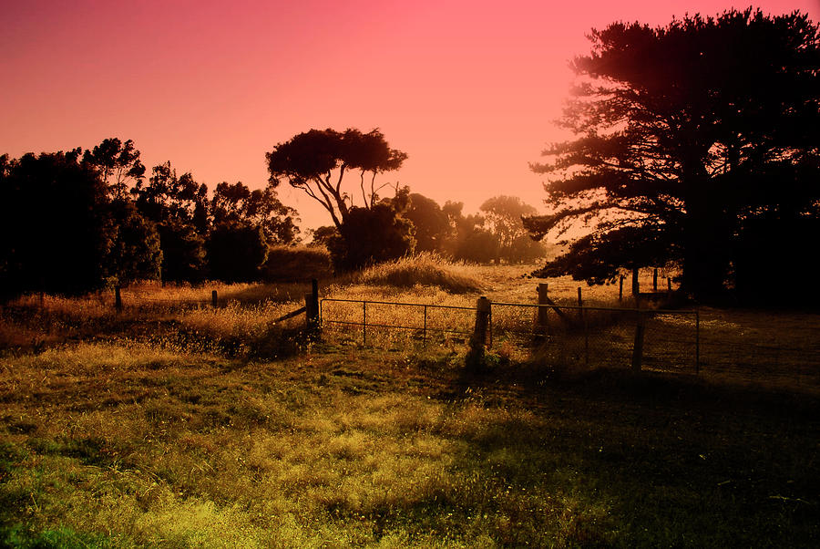 Surreal Aussie Countryside Photograph by Nikontiger