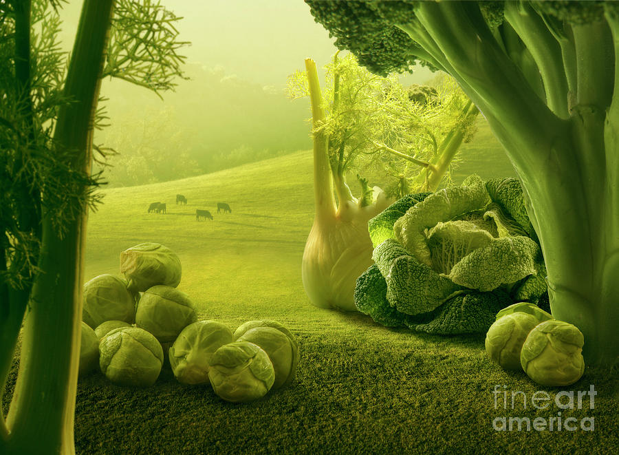 Surreal Giant Green Vegetables Photograph by Vizerskaya