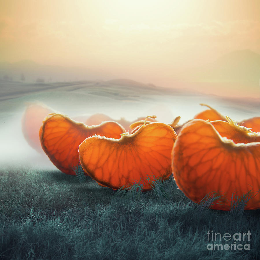 Surreal Giant Tangerine Segments Photograph by Vizerskaya