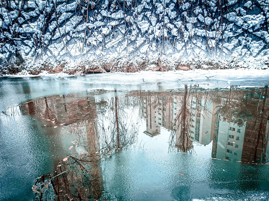 Surreal Reflection Of Our Place Photograph by Youngil Kim