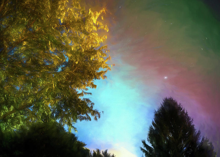 Surreal Stars and Trees by Jason Fink Surreal Stars and Trees by Jason Fink