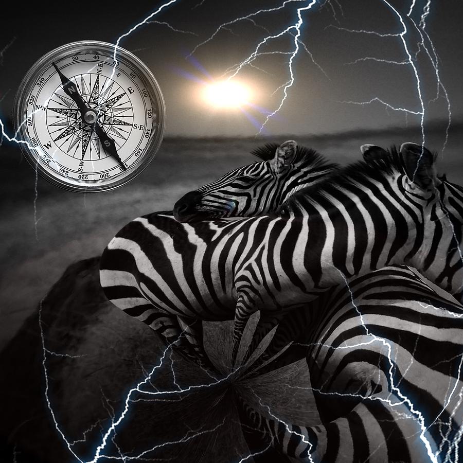 SURREAL ZEBRA by Elie Wolf SURREAL ZEBRA by Elie Wolf