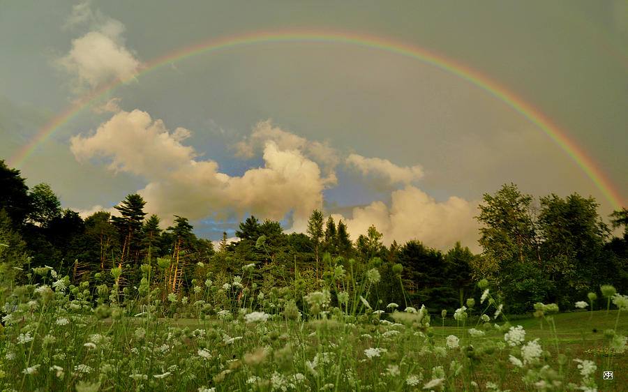 Surry Rainbow Photograph by John Meader