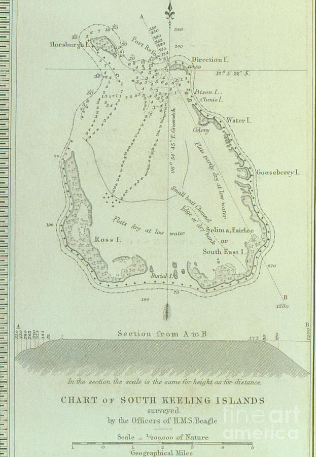 Survey Of An Atoll Drawn By The Crew Of Hms Beagle Photograph by George Bernard/science Photo Library