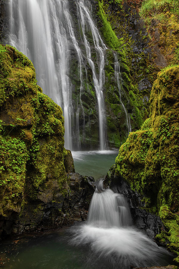 Susan Creek Falls Photograph by Thomas Elsnab | Fine Art America